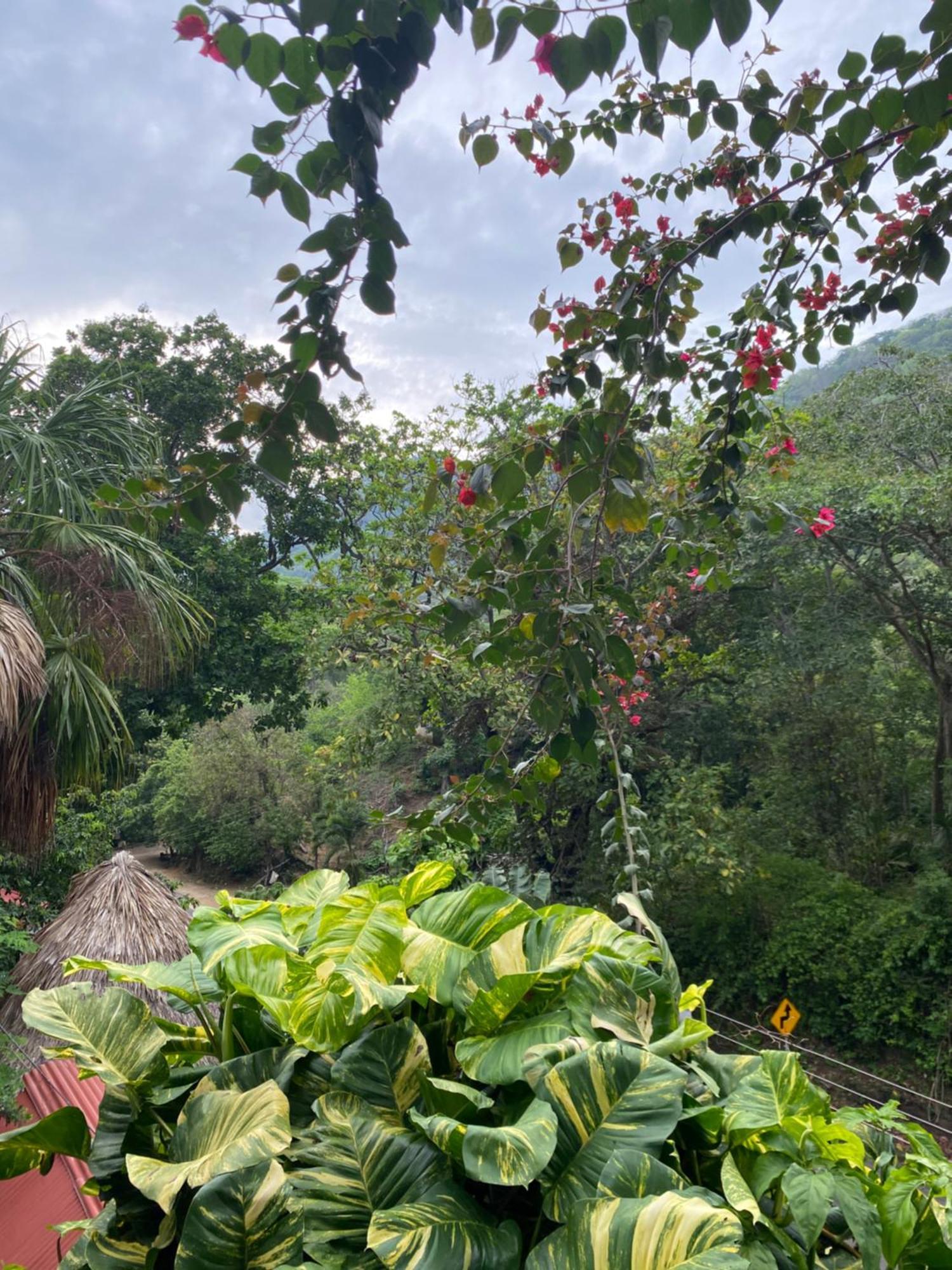 Eco Hostal La Perla Tayrona El Zaino Exterior foto